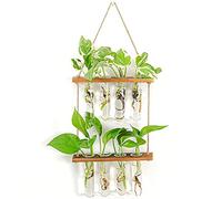 Wzxksoac Planta Colgante de Pared EstacióN de PropagacióN de Vidrio Tubos Terrario de Flores con Soporte de Madera Accesorios Modernos para Jarrones para el Hogar