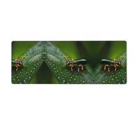 WZYCWB Alfombrilla de ratón para juegos Rainbows Insects de 11.8 x 31.5 pulgadas, adecuada para portátiles y entornos de oficina