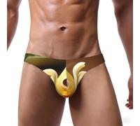 WZYCWB Calzoncillos de bikini sexy para hombre, con estampado de patos extraños, ropa interior cómoda y ajustada, Negro, XL