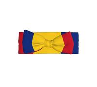 WZYCWB Diadema con lazo de la bandera de Rumanía, accesorios para el pelo para niños, 0-6 meses, lazos para el pelo para recién nacidos, bebés y niños pequeños