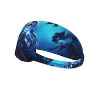 WZYCWB Diadema deportiva con estampado de búho en la luz de la luna, banda deportiva para el sudor, absorbe la humedad