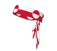 WZYCWB Diadema deportiva con patrón de bandera de Groenlandia para bádminton, escalada de montaña y ciclismo que absorbe el sudor