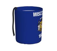 WZYCWB El cubo de basura colgante con la bandera del estado de Wisconsin es adecuado para muchos tipos de coches. Es práctico y conveniente, y es simplemente el compañero perfecto para conducir.