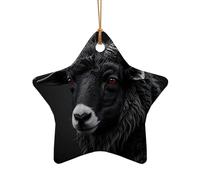 WZYCWB Este árbol de Navidad de cerámica en forma de estrella gótica con cabeza de oveja oscura impresa con un patrón es perfecto para fiestas de Navidad de invierno y decoración del hogar.