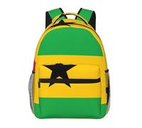 WZYCWB Flag of Sao Tome and Principe Mochila casual, 11.4 x 15.7 x 7.8 pulgadas, mochila para laptop para viajes, senderismo, negocios, camping, gimnasio
