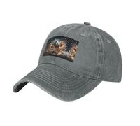 WZYCWB Gorra de béisbol con estampado negro de rugby on Fire, gorra de béisbol deportiva e informal, visera solar, gris, Talla única
