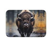 WZYCWB North American Bison - Felpudo de invierno lavable, dobladillo de 15.7 x 23.6 pulgadas, a prueba de polvo, tapete de bienvenida absorbente para puerta delantera y trasera