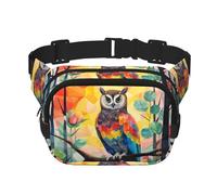 WZYCWB Riñonera deportiva con ilustración de búho, bolsa cruzada moderna y de moda, bolsa pequeña de viaje ligera