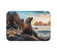 WZYCWB Sea Lion on The Rocks - Felpudo de invierno lavable, 15.7 x 23.6 pulgadas, tapete de bienvenida absorbente para puerta delantera y trasera