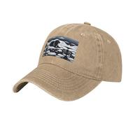 WZYCWB Seals on Ice - Gorra de béisbol de moda, deportiva, informal, de secado rápido, transpirable, color negro, natural, Talla única