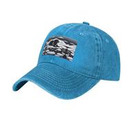 WZYCWB Seals on Ice - Gorra de béisbol de moda, deportiva, informal, de secado rápido, transpirable, color negro, azul, Talla única