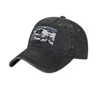 WZYCWB Seals on Ice - Gorra de béisbol de moda, deportiva, informal, de secado rápido, transpirable, color negro, Negro, Talla única