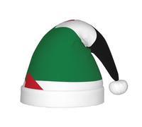WZYCWB Sombrero infantil de fiesta de Año Nuevo con la bandera del Estado de Palestina, para eventos de Navidad, actuaciones de escenario, escena de fiesta de vacaciones, sombrero de Navidad para