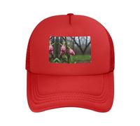WZYCWB Spring Buds After Rain - Gorra de béisbol negra con estampado | adecuada para deportes al aire libre, ciclismo, pesca y protección solar, rosso, Talla única