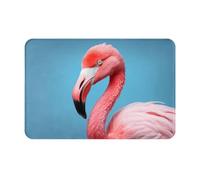 WZYCWB The Mighty Flamingo - Tapete de bienvenida con estampado de flamencos, 40,6 x 61 cm, tapete absorbente para puerta de baño y cocina
