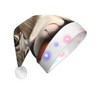 WZYCWB Un gato curioso de Navidad, Año Nuevo, sombrero de Papá Noel unisex de felpa con luz LED, regalo de fiesta de Navidad de Año Nuevo