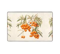 WZYWHJ Alfombra de área para sala de estar, alfombra antideslizante para guardería, alfombra de juego, 60 x 39 pulgadas, estampado de espino amarillo naranja