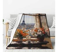 WZYWHJ Beautiful Pylons in The Distance - Manta de franela gruesa estampada de 80 x 60 pulgadas, alfombra vertical suave de doble cara para sofá