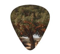 Wzywhj Date Trees In The Garden - Púas de guitarra con impresión de fácil agarre, para ukelele, guitarra acústica y eléctrica, 12 piezas