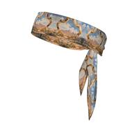 WZYWHJ Diademas con patrón de arquitectura del desierto, diadema deportiva, diadema para hombres y mujeres, banda para el pelo para correr, entrenar fútbol
