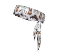 WZYWHJ Diademas estampadas Little Squirrel on The Snow Tree, diadema deportiva, diadema para hombres y mujeres, banda para el pelo para correr, entrenar fútbol