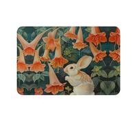 WZYWHJ Felpudo antideslizante de 40,6 x 61 cm, fácil de limpiar, adecuado para puerta delantera, sala de estar, baño, conejito bajo la gloria de la mañana impreso