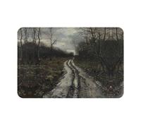 WZYWHJ Felpudo antideslizante de 40,6 x 61 cm, fácil de limpiar, adecuado para puerta delantera, sala de estar, baño, camino fangoso después de la lluvia, impreso