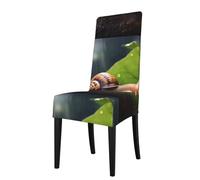 WZYWHJ Funda de silla desmontable con estampado de caracol sobre una hoja, instalación rápida y fácil mantenimiento, adecuada para respaldos de silla cuadrados