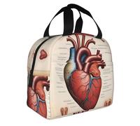 WZYWHJ Human Anatomy Heart Chart Prints - Bolsa de almuerzo portátil aislada portátil para almuerzo, resistente, fácil de plegar