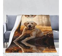 WZYWHJ Manta de franela gruesa de 320 g con estampado de perro Labrador Retriever para sofá, dormitorio, cama, silla, suave y cómoda, manta para mujer, 66 x 90 pulgadas