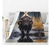 WZYWHJ North American Bison - Manta de franela gruesa con estampado de bisonte de 80 x 60 pulgadas, alfombra vertical suave de doble cara para sofá