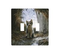 WZYWHJ Placa decorativa de pared con diseño de gatito disparado desde arriba, 4.5 x 4.5 pulgadas, duradera y elegante para zonas residenciales y comerciales