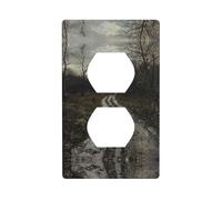 WZYWHJ Placa decorativa de pared de doble enchufe, fácil de instalar, ideal para zonas residenciales y comerciales de 4.5 x 2.76 pulgadas en carretera fangosa después de la lluvia. Impreso