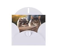 WZYWHJ Tarjeta de felicitación blanca de 15 x 10 cm con sobre para Navidad, cumpleaños, día de San Valentín, invitación a fiestas, un par de gatos impresos