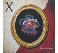 X - Ain't Love Grand (rsdbf) [Vinilo]