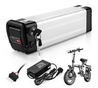 X-go 36V Batería para Bicicleta Electrica 360WH 4Port de Iones de Litio Li-Ion Recargable al Motor 250W 350W E-Bike Pedelec Silverfish Batería y Cargador