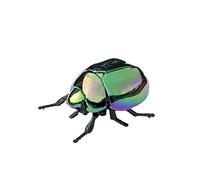 X-Institute Juguete De Escarabajo Cuerda Alivio del Estrés para Gatear Niños Pequeños Herramienta Descubrimiento Científico Actividad Aire Libre E Hijos Juguete Insecto Realista