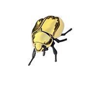 X-Institute Juguete De Escarabajo Cuerda Alivio del Estrés para Gatear Niños Pequeños Herramienta Descubrimiento Científico Actividad Aire Libre E Hijos Juguete Insecto Realista