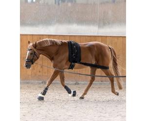 X-Line Banda Corporal Cob/Full, Negro - 1 pieza X-Line