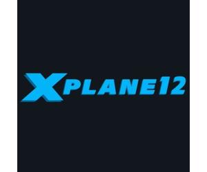 X-Plane 12 (PC) Steam Account - GLOBAL