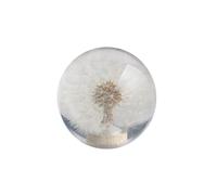 X psblty Pomos Palanca Cambios Coche Perilla Cambio Marchas Manual Con Forma Bola Cristal Y Flores Diente León Reales Perillas Para Coche