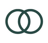 X psblty Soporte Móvil Coche Paquete 2 Anillos Placa Magnética Pegatina Metal Universal Soporte Cargador Inalámbrico para Magnético Coche Suporte Telemovel Carro(Green)