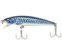Rapala X-Rap Magnum Cast-Material Peces Gordos y Carnívoros-Señuelo Pesca Marina, Unisex-Adult, Silver Blue Mackerel, 10cm/42g