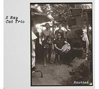 X-RAY CAT TRIO - HAUNTED