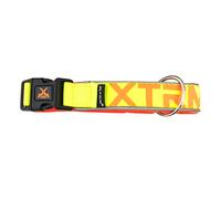 X-TRM Neon Flash Collar Limón para perros