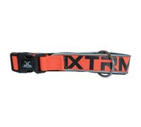 X-TRM Neon Flash Collar Naranja para perros