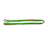 X-TRM Neon Flash Correa Verde para perros