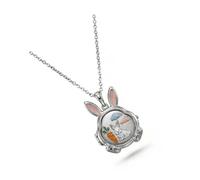 XAGMODSHN Collar con colgante de nube de zanahoria de conejo de aleación con medallón que se puede abrir para guardar secretos y accesorios de moda, regalo para amigos, plata, Taille unique