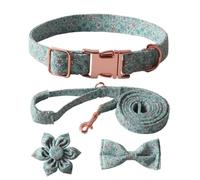 XAGMODSHN Juego de collar de perro de moda, correa y corbata que se completa con un colorido lazo floral para mascotas que destacan entre la multitud