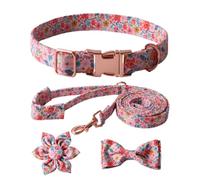 XAGMODSHN Juego de collar de perro de moda, correa y corbata que se completa con un colorido lazo floral para mascotas que destacan entre la multitud